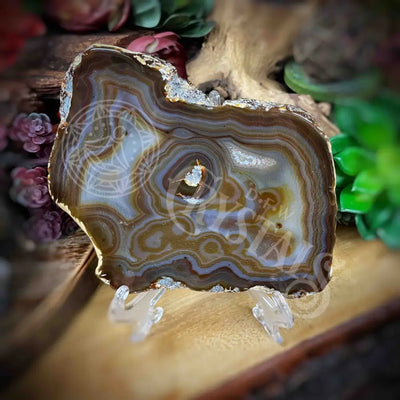 Agate Geode Slices - Set 8 Multi Choice Jj128 5.6’ X Accessories