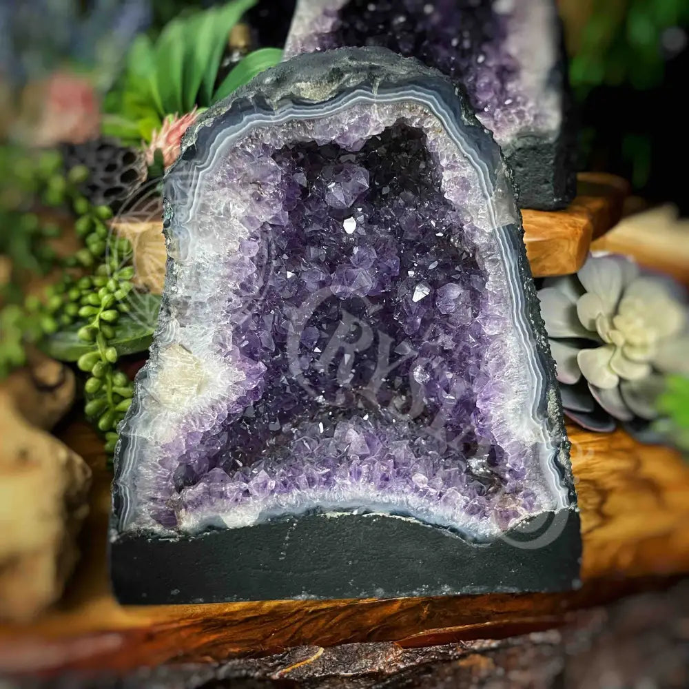 Cathedral - Amethyst 10.5 Lbs 8.2’ Tall Crystals