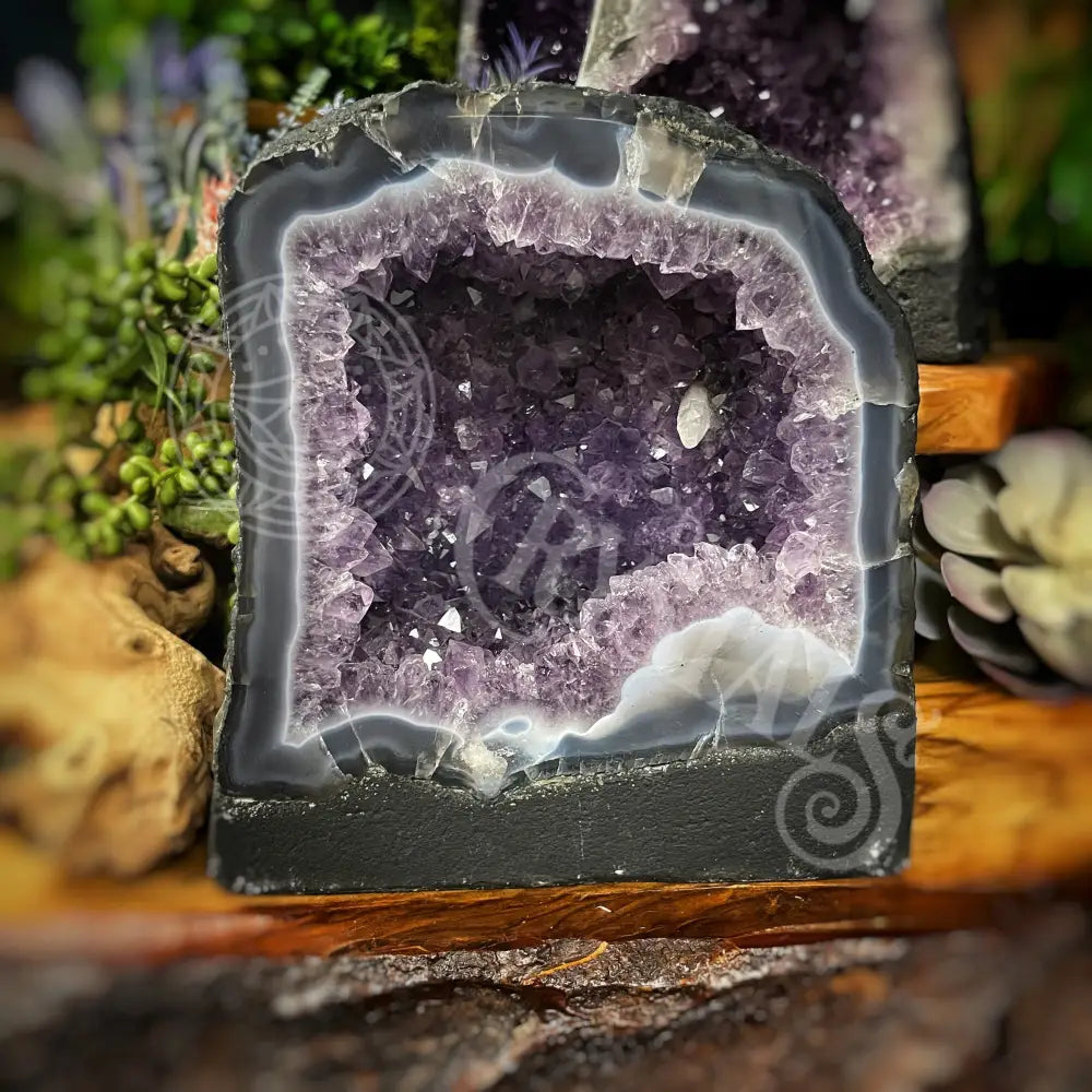 Cathedral - Amethyst 11.2 Lbs 7’ Tall Crystals