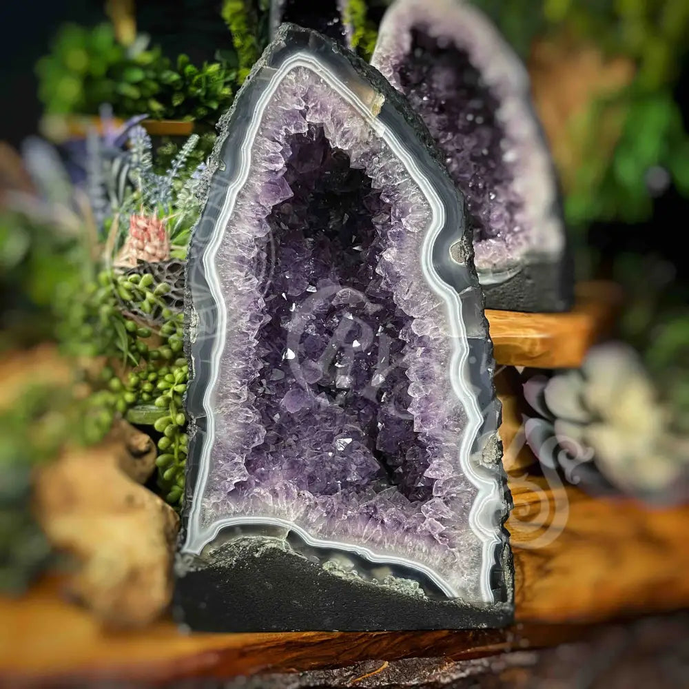 Cathedral - Amethyst 16.9 Lbs 11.0’ Tall Crystals