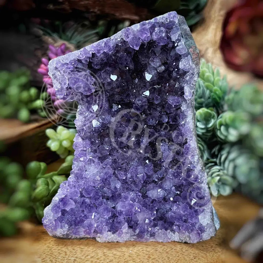 Specimen - Amethyst 2.1’ X 3.1’ 3.8’ Crystals Cathedral