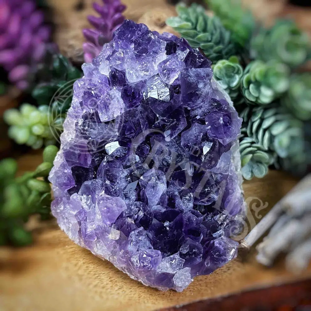 Specimen - Amethyst 3.1’ X 2.6’ Crystals Cathedral