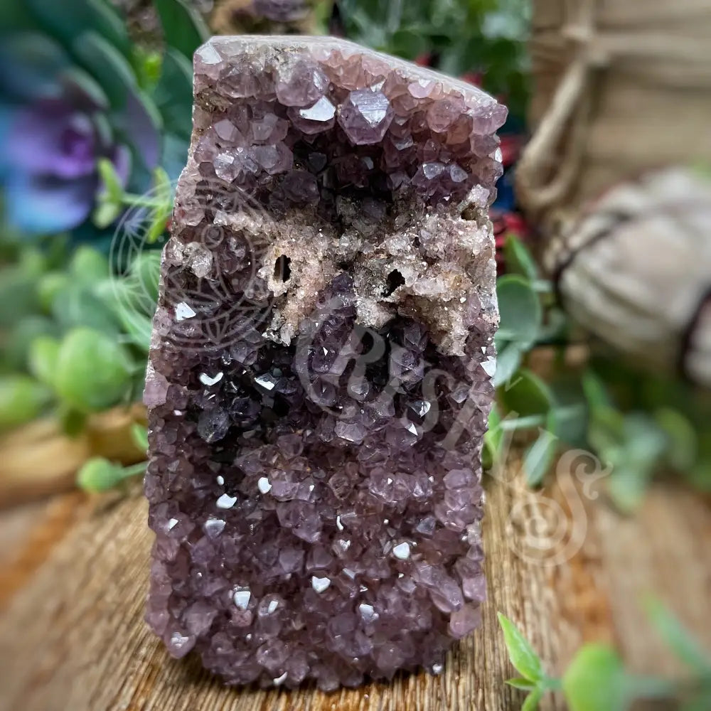 Amethyst - Druze 3.5’ Crystals Cluster