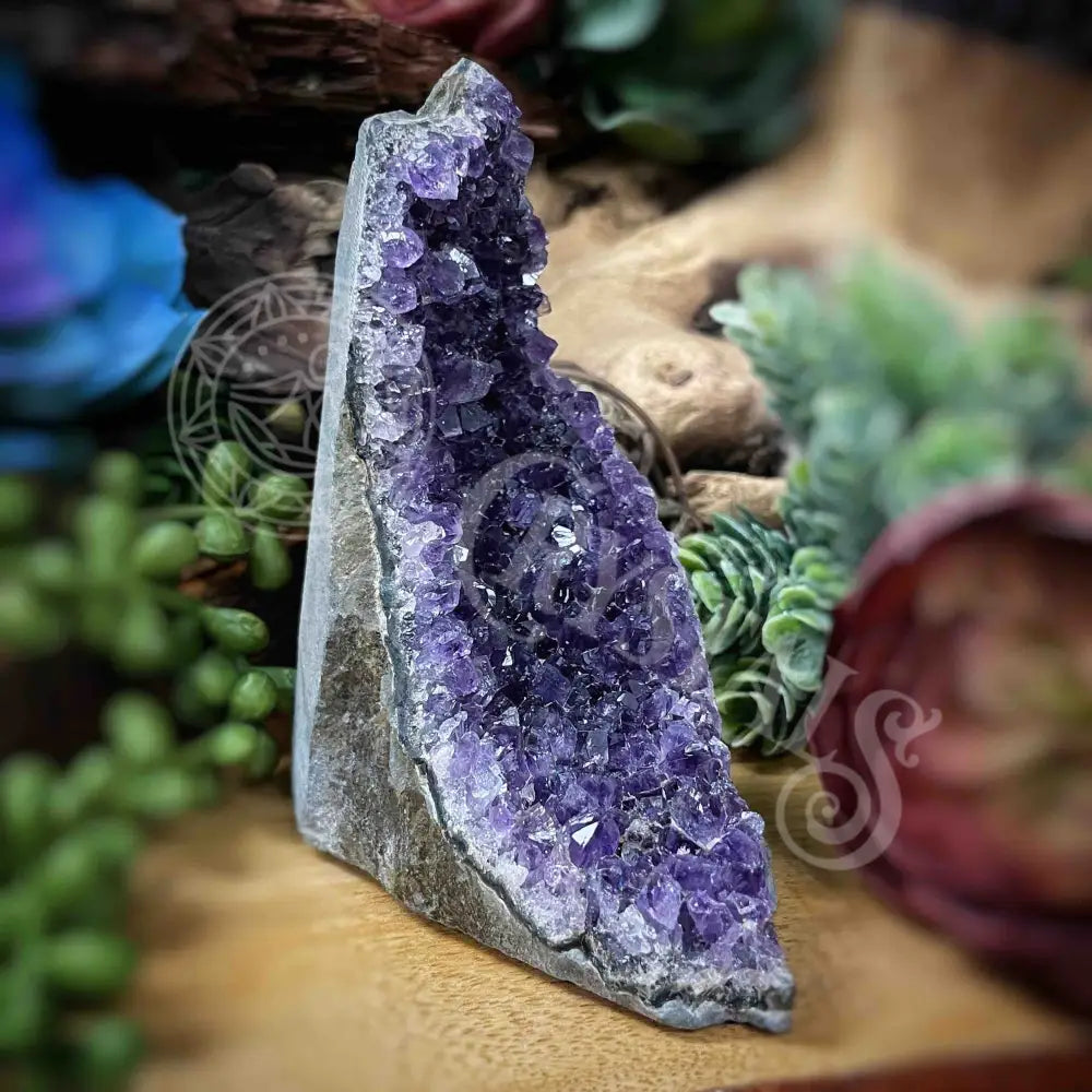 Specimen - Amethyst 3.5’ X 2.5’ 4’ Crystals Cathedral