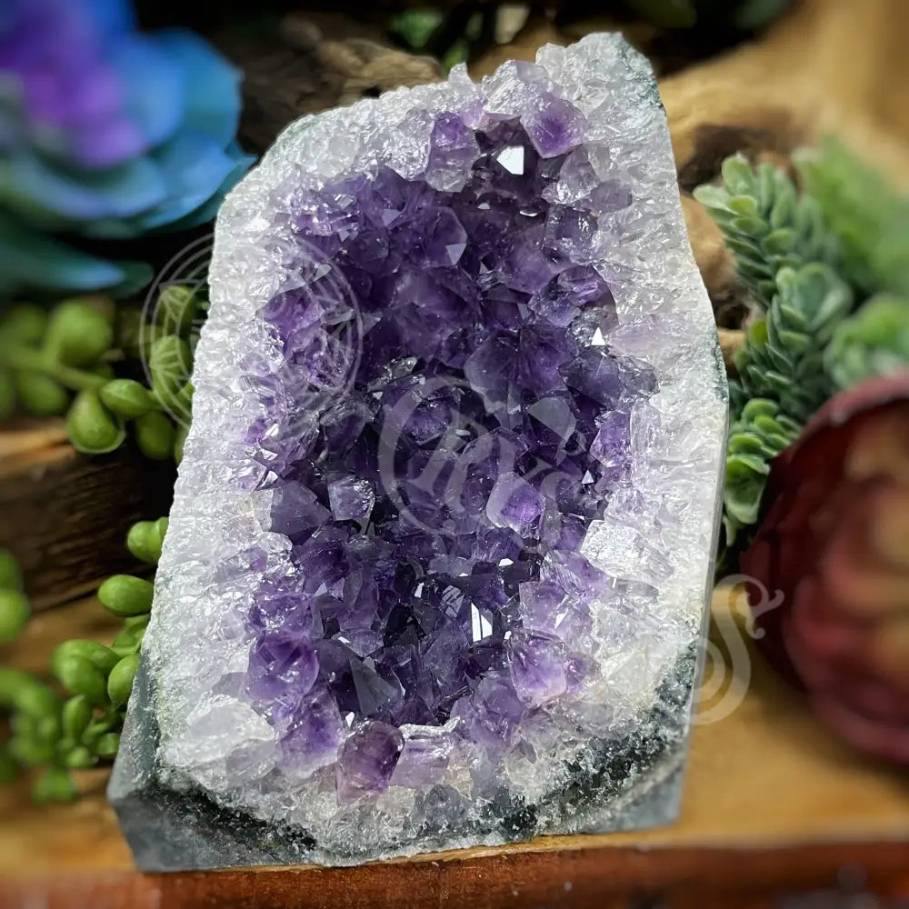 Specimen - Amethyst 3.8’ X 2.8’ Crystals Cathedral