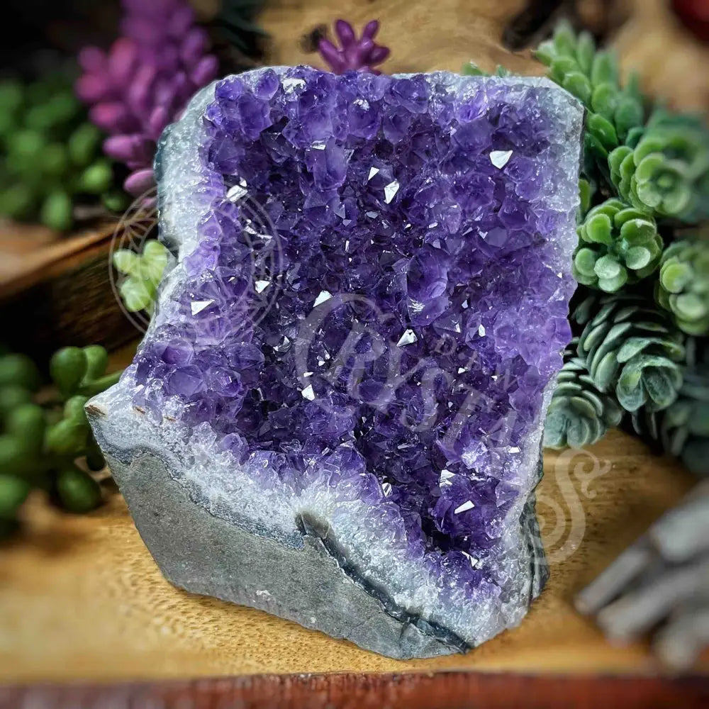 Specimen - Amethyst 3’ X 2.5’ 3.2’ Crystals Cathedral