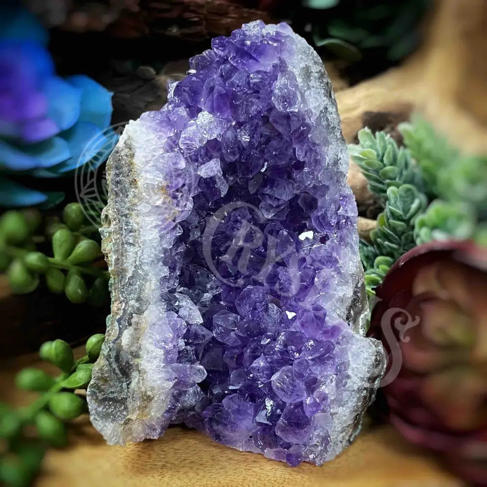 Specimen - Amethyst 3’ X 2.8’ 4.2’ Crystals Cathedral