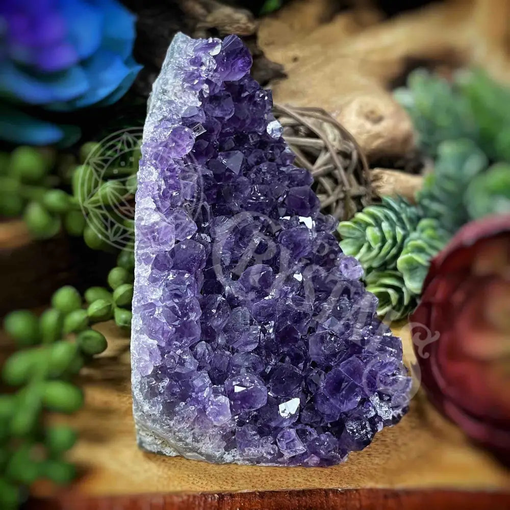 Specimen - Amethyst 3’ X 3.5’ Crystals Cathedral