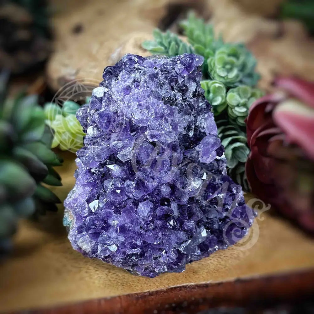 Specimen - Amethyst 3’ X Crystals Cathedral