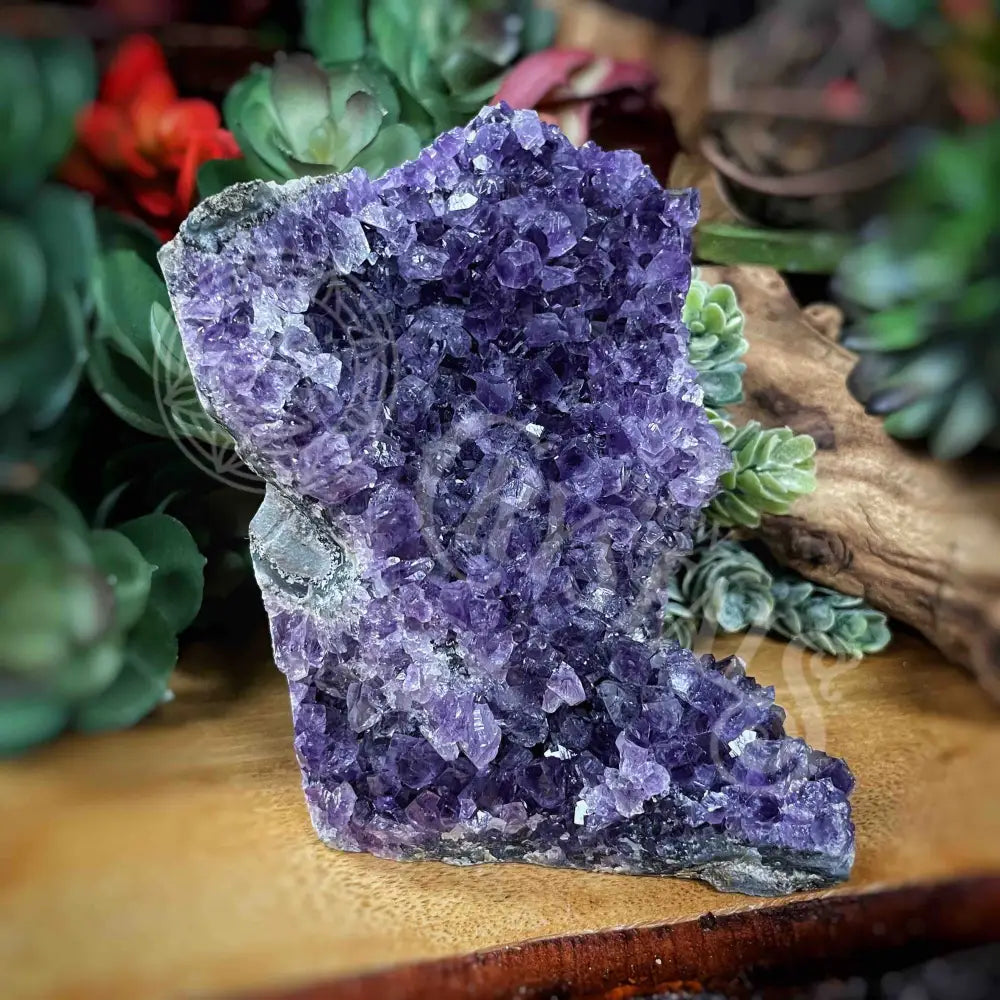 Specimen - Amethyst 4.1’ X 2.8’ 4’ Crystals Cathedral