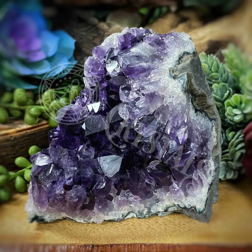 Specimen - Amethyst 4.3’ X 3’ 3.8’ Crystals Cathedral