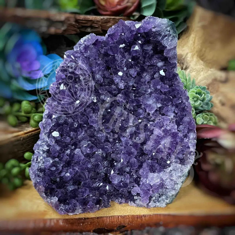 Specimen - Amethyst 4.8’ X 3.6’ 5’ Crystals Cathedral