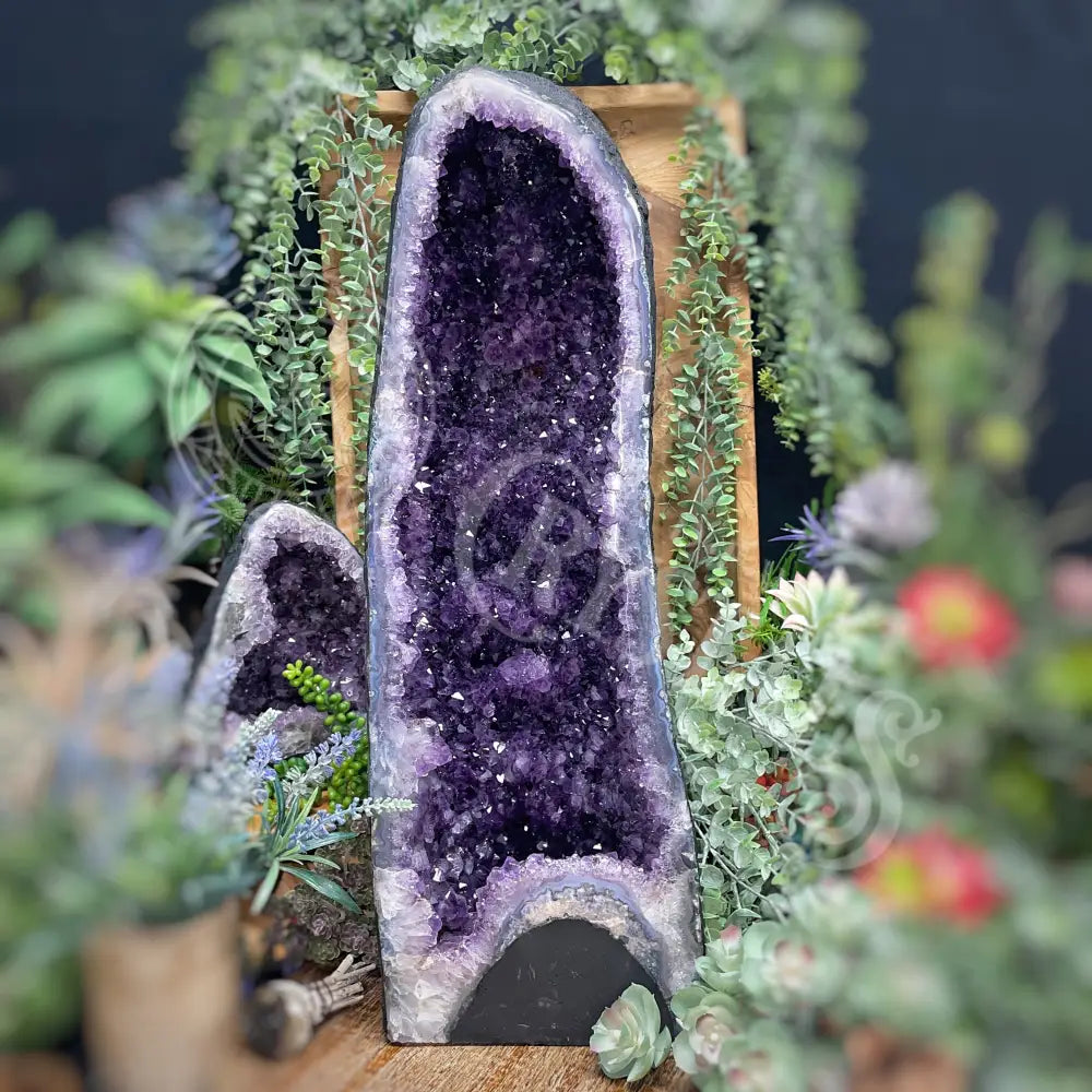 Cathedral - Amethyst 48.4 Lbs Xxxx Tall Crystals