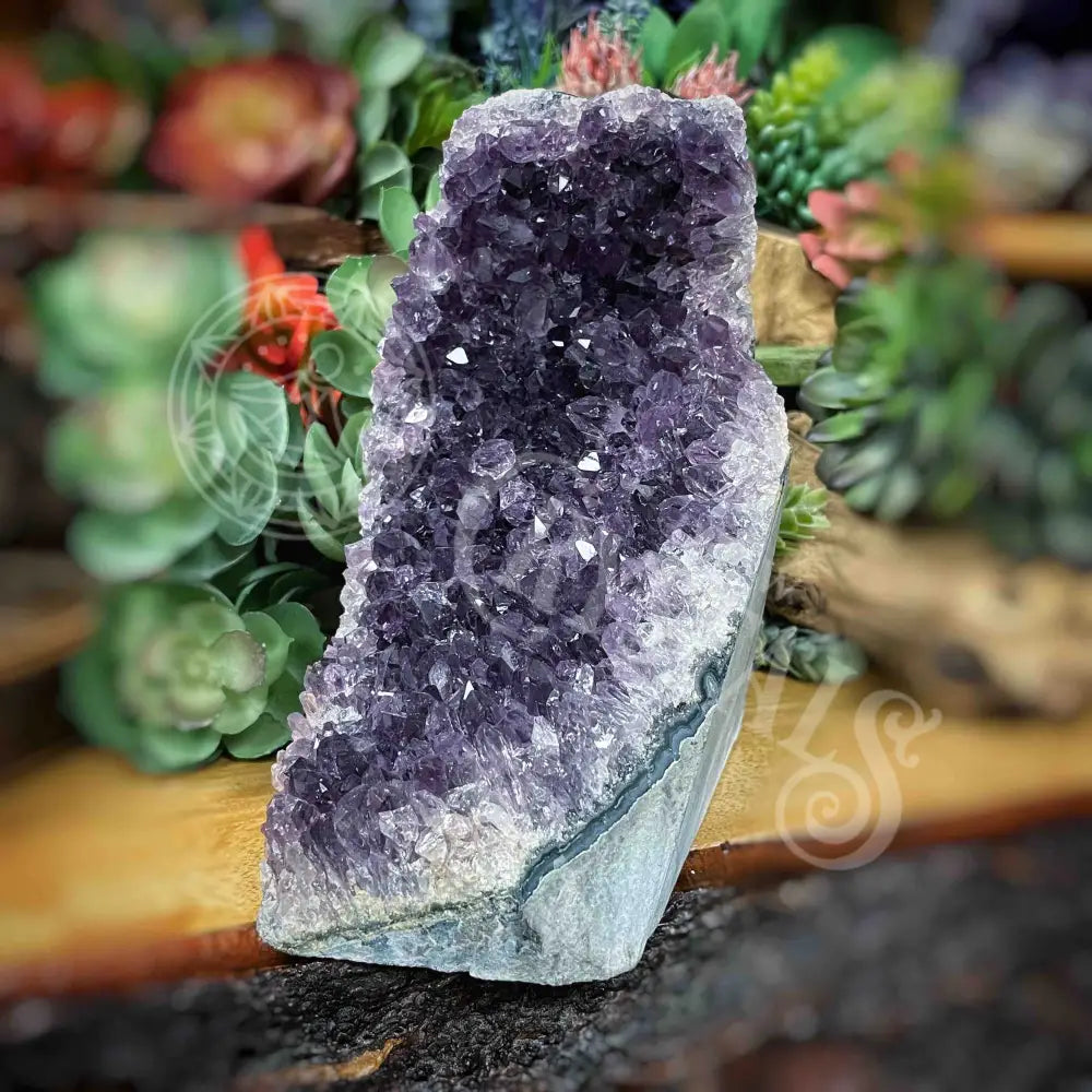 Specimen - Amethyst 5.6’ X 3.2’ 5.2’ Crystals Cathedral