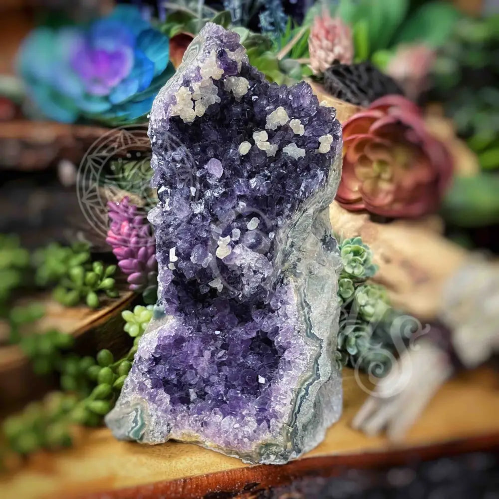 Specimen - Amethyst 6.8’ X 3’ 4’ Crystals Cathedral