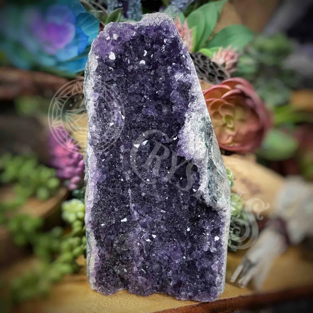 Specimen - Amethyst 6.8’ X 3.5’ 3’ Crystals Cathedral