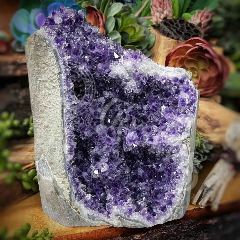 Specimen - Amethyst 7’ X 5.2’ 4’ Crystals Cathedral