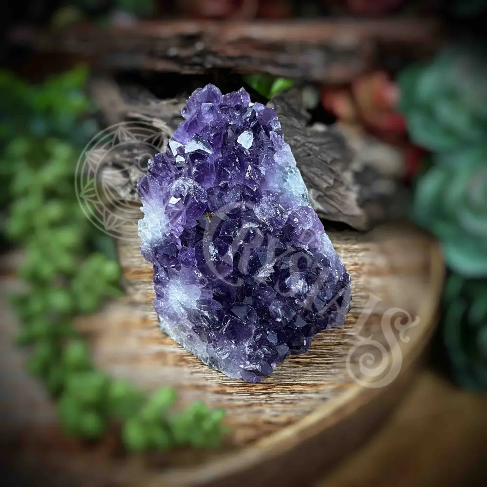 Amethyst - Cluster Set10 Z133-2.5’ X 2.8’ 3.1’ Crystals