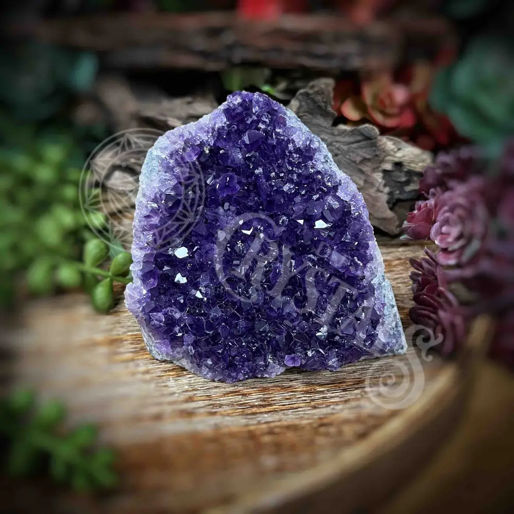 Amethyst - Cluster Set10 Z193-2.8’ X 3.4’ 3’ Crystals