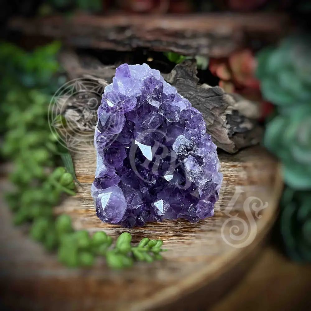 Amethyst - Cluster Set11 Z134-2.9’ X 3’ 2.9’ Crystals