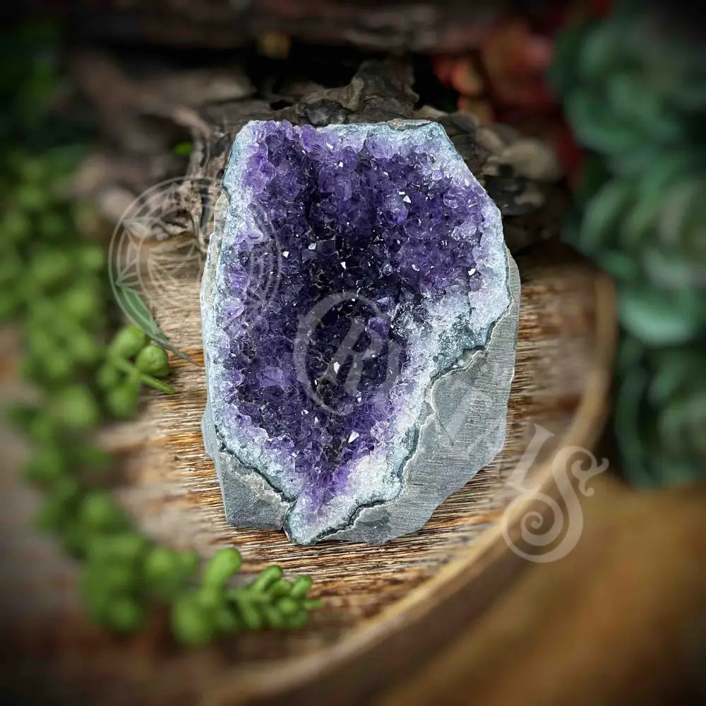 Amethyst - Cluster Set11 Z146-3.2’ X 3.1’ 2.9’ Crystals