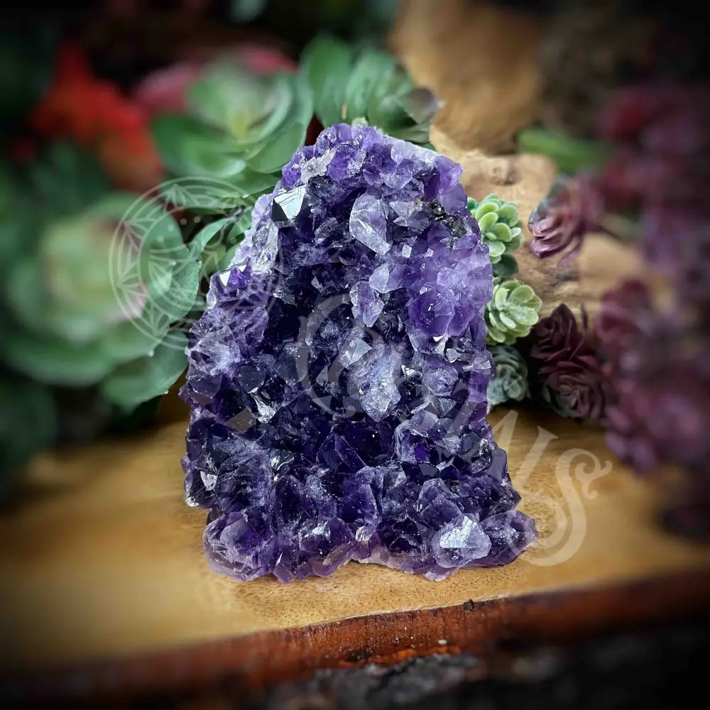 Amethyst - Cluster Set12 Z157-2.8’ X 3.1’ 3.6’ Crystals