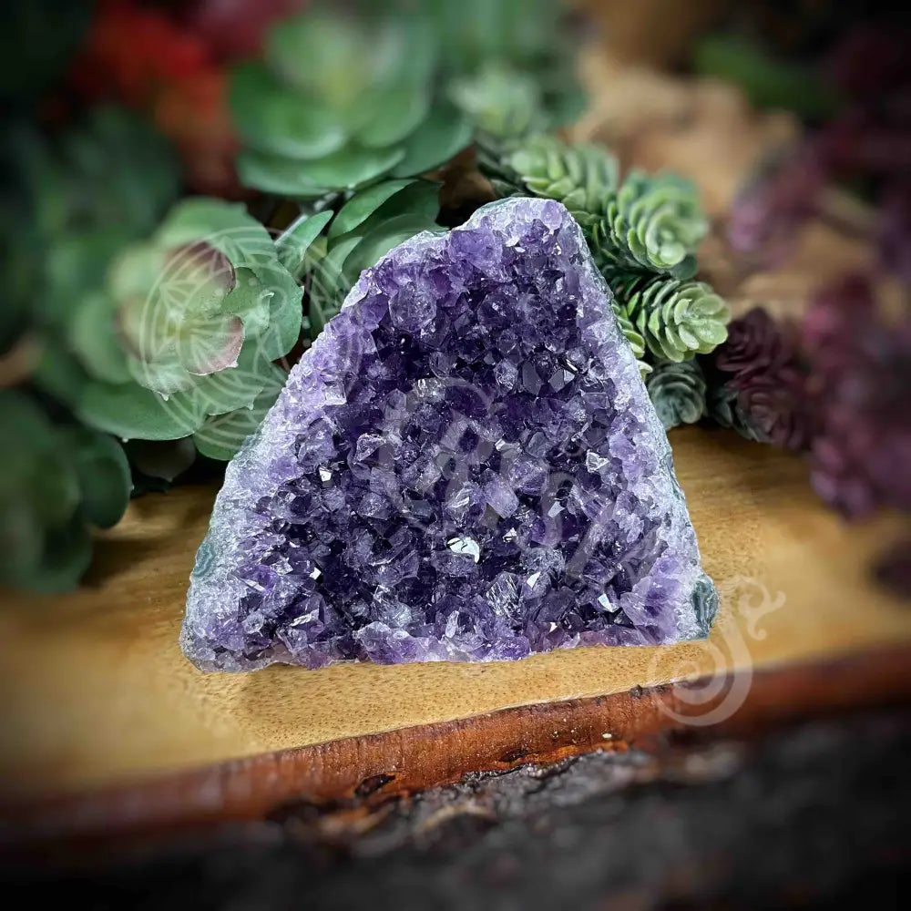 Amethyst - Cluster Set12 Z160-2.8’ X 3.9’ 3’ Crystals