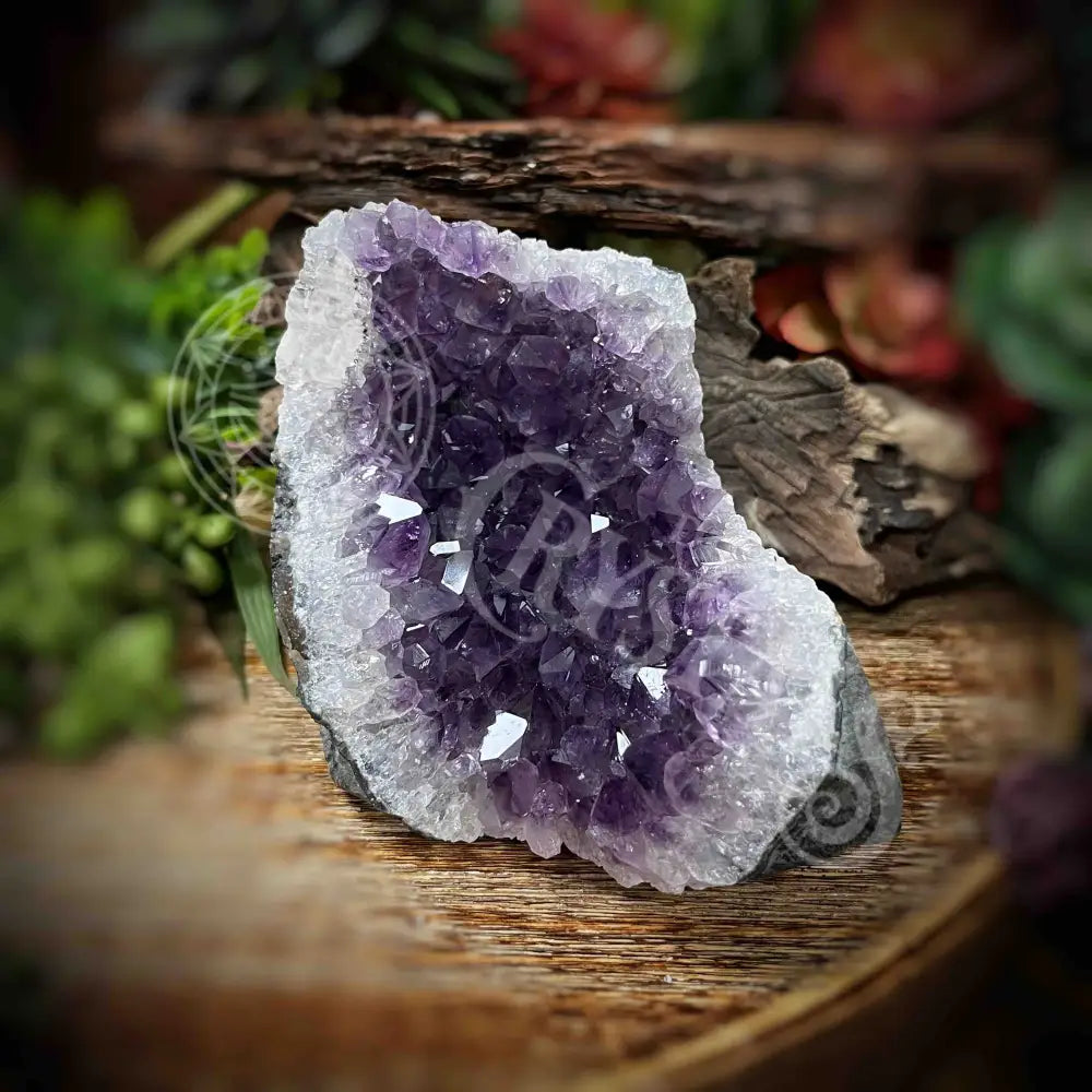 Amethyst - Cluster Set12 Z166-3.5’ X 2.9’ 3.3’ Crystals