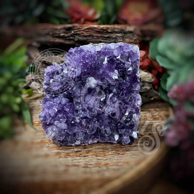 Amethyst - Cluster Set12 Z171-2.3’ X 3.2’ 3.1’ Crystals