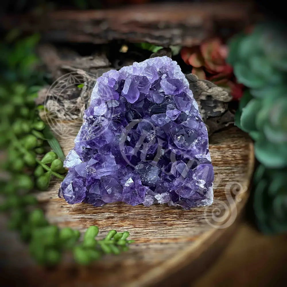 Amethyst - Cluster Set14 Z147-3’ X 3.5’ 2.8’ Crystals