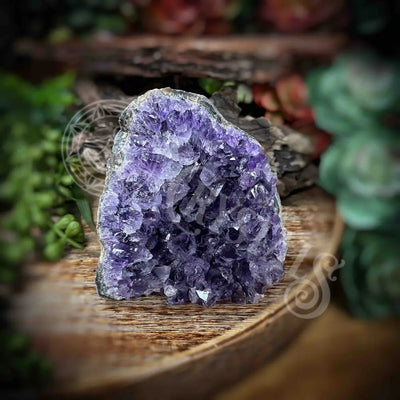 Amethyst - Cluster Set15 Z132-3.6’ X 3.4’ 3.1’ Crystals