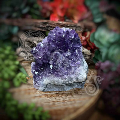 Amethyst - Cluster Set15 Z188-2.5’ X 3.5’ 3.8’ Crystals