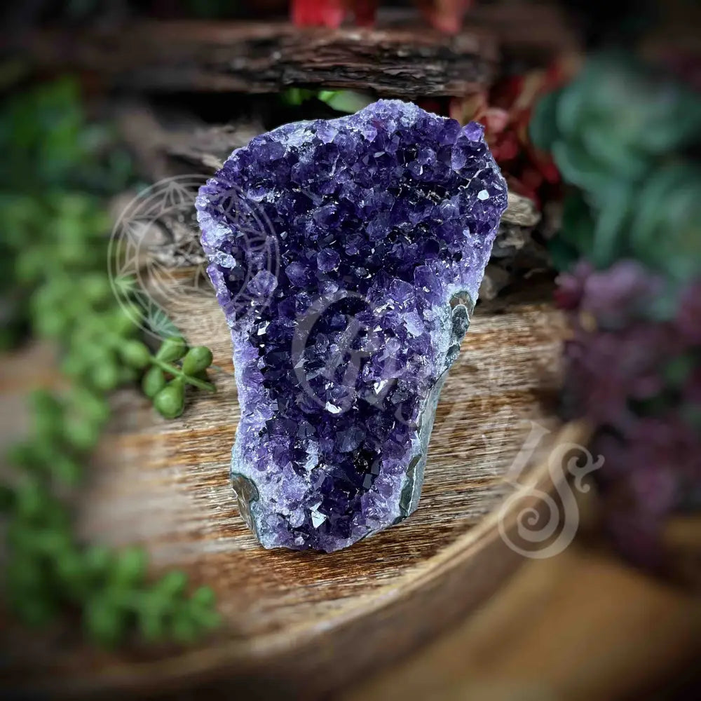 Amethyst - Cluster Set16 Z181-3.8’ X 3.8’ 3.3’ Crystals