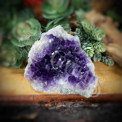 Amethyst - Cluster Set16 Z194-3.1’ X 4’ 3’ Crystals