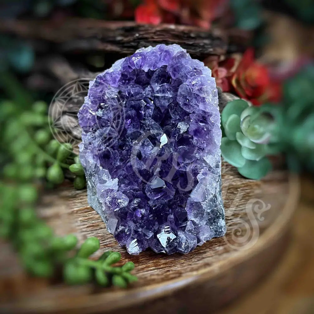 Amethyst - Cluster Set16 Z200-3.7’ X 3’ 3.4’ Crystals