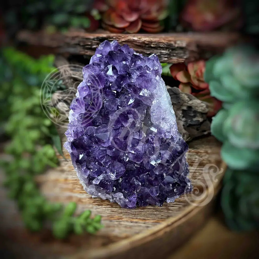 Amethyst - Cluster Set17 Z135-3.5’ X 3.2’ 3.8’ Crystals