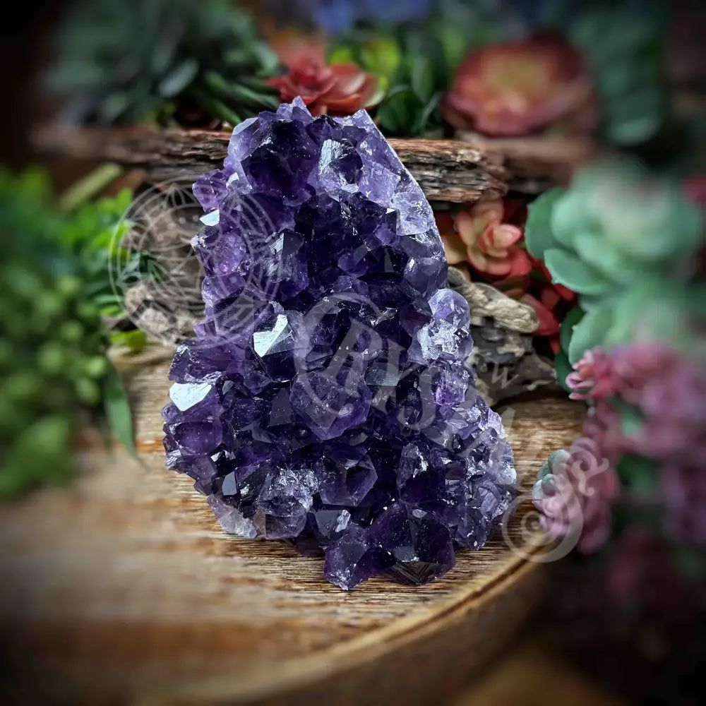 Amethyst - Cluster Set17 Z177-3.5’ X 3.5’ 4.2’ Crystals