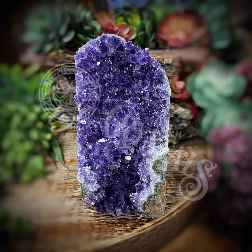 Amethyst - Cluster Set18 Z163-3.6’ X 2.4’ 4.9’ Crystals