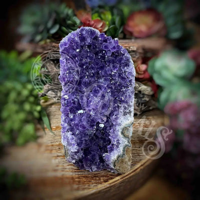 Amethyst - Cluster Set18 Z163-3.6’ X 2.4’ 4.9’ Crystals