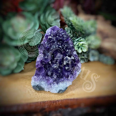 Amethyst - Cluster Set2 Z052-2.5’ X 2.4’ 2.6’ Crystals