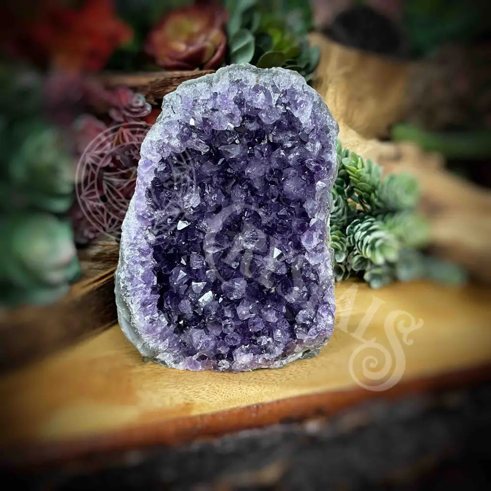 Amethyst - Cluster Set21 Z221-3.8’ X 4’ 5.1’ Crystals