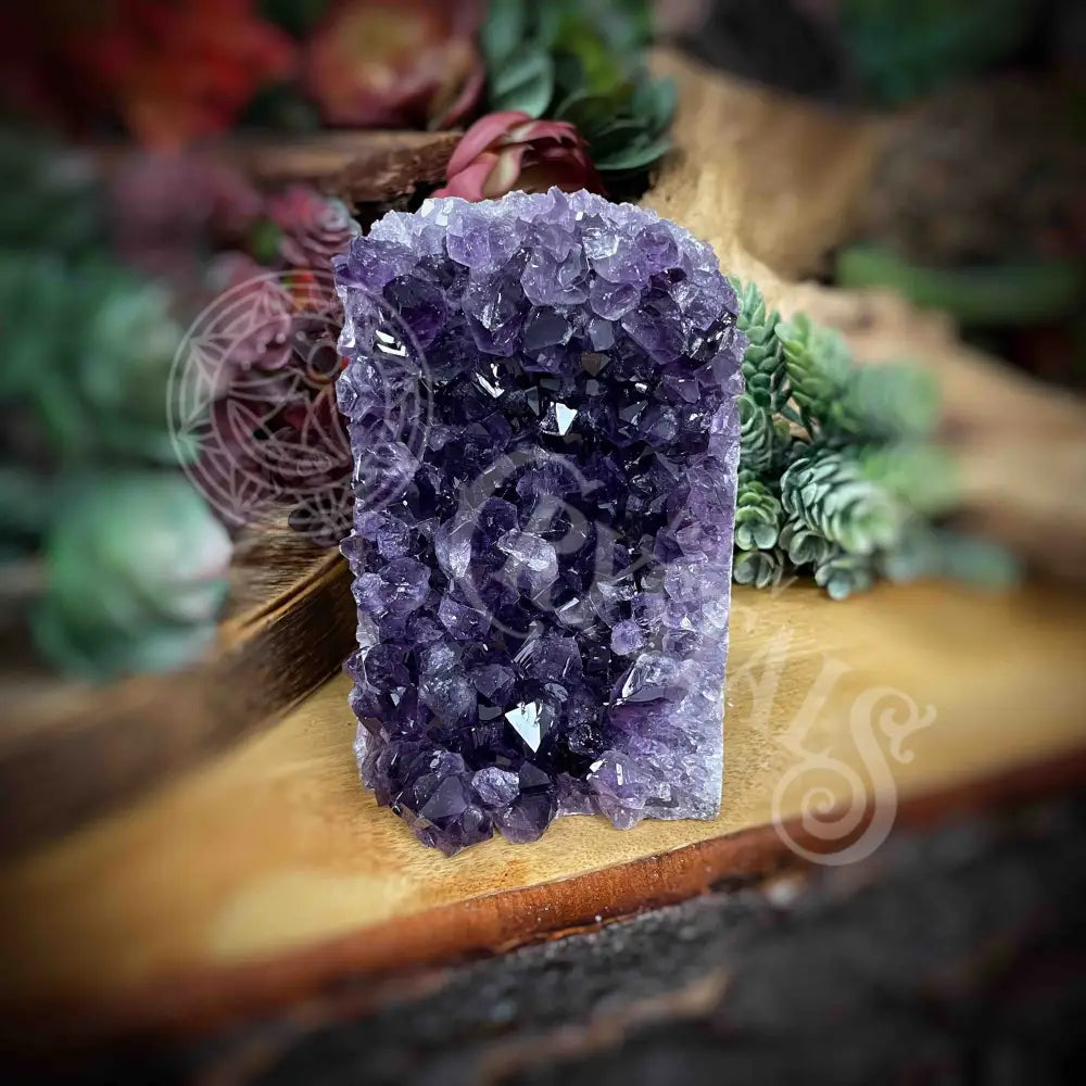 Amethyst - Cluster Set21 Z229-3.5’ X 3.1’ 4.8’ Crystals