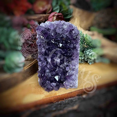 Amethyst - Cluster Set21 Z229-3.5’ X 3.1’ 4.8’ Crystals