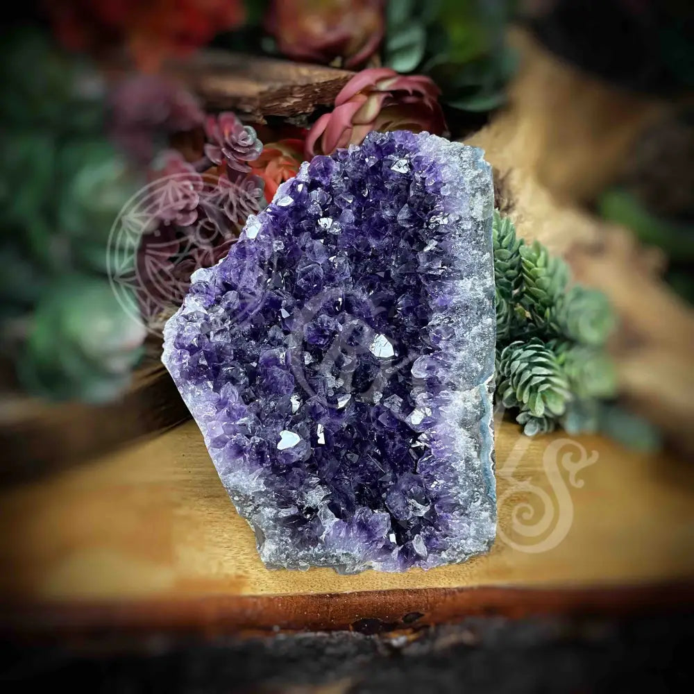 Amethyst - Cluster Set23 Z237-3.6’ X 4’ 4.8’ Crystals