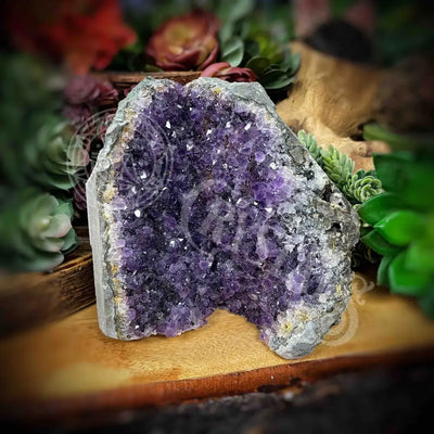 Amethyst - Cluster Set23 Z271-3.2’ X 4.8’ 4.9’ Crystals