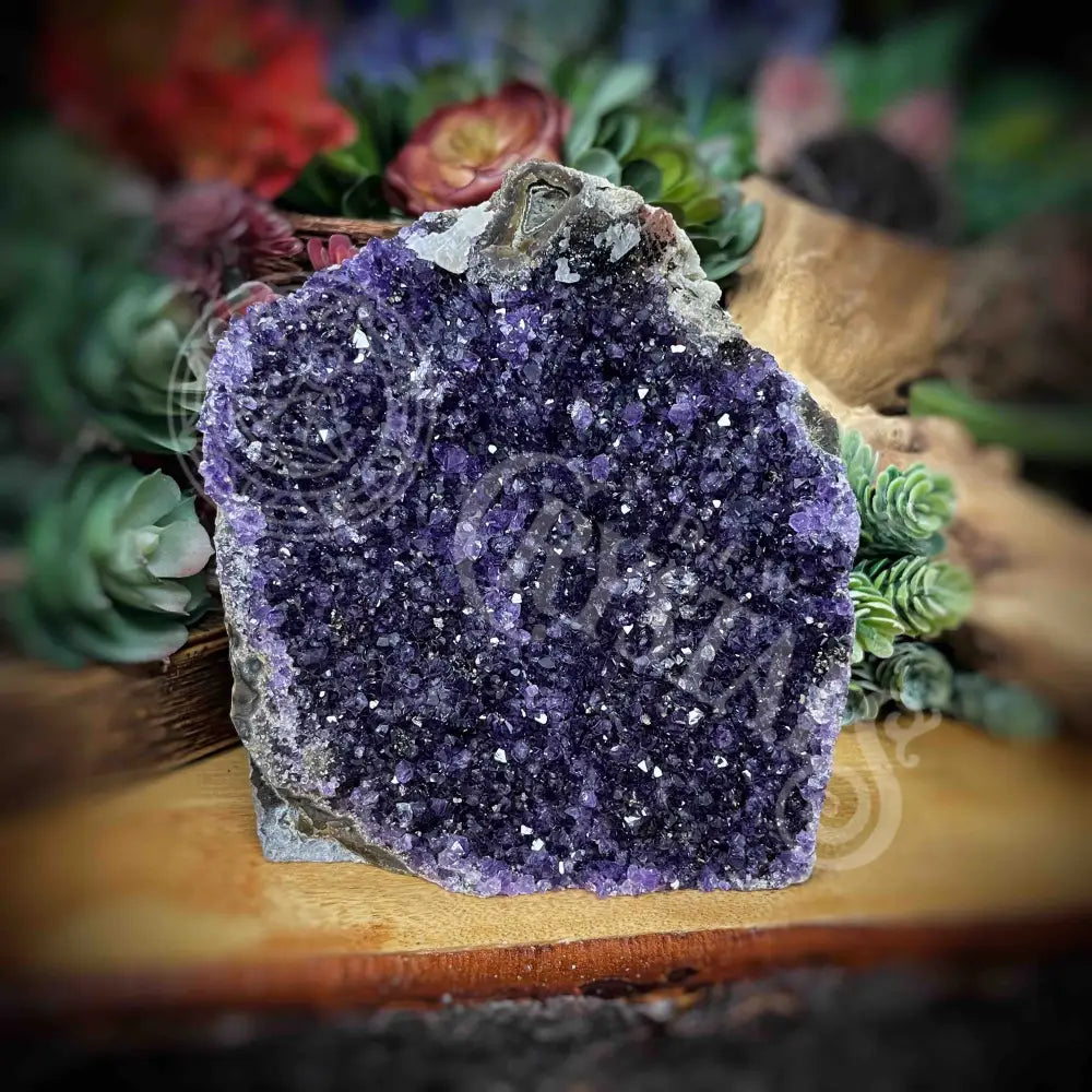 Amethyst - Cluster Set24 Z242-3’ X 4.7’ 5’ Crystals