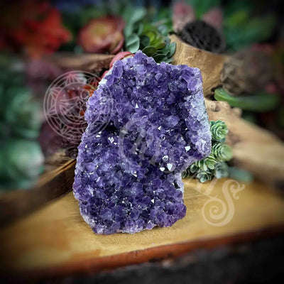 Amethyst - Cluster Set24 Z260-3.5’ X 4.2’ 5.3’ Crystals