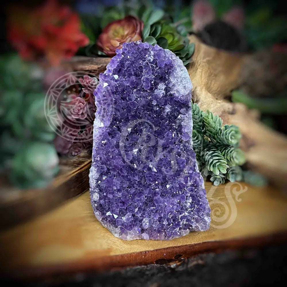 Amethyst - Cluster Set24 Z263-5.2’ X 4’ 6’ Crystals