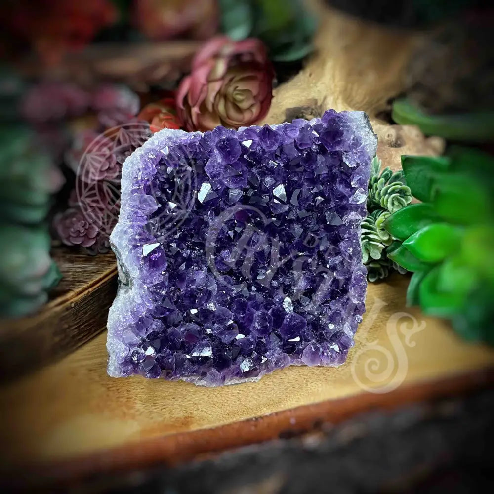 Amethyst - Cluster Set24 Z272-4.5’ X 4.2’ 4.5’ Crystals