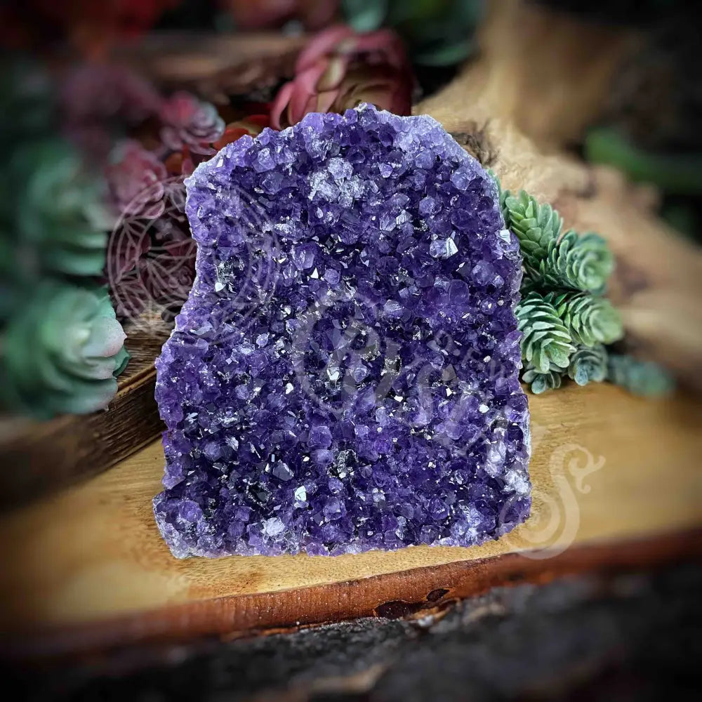 Amethyst - Cluster Set25 Z238-4.3’ X 4.5’ 4.6’ Crystals